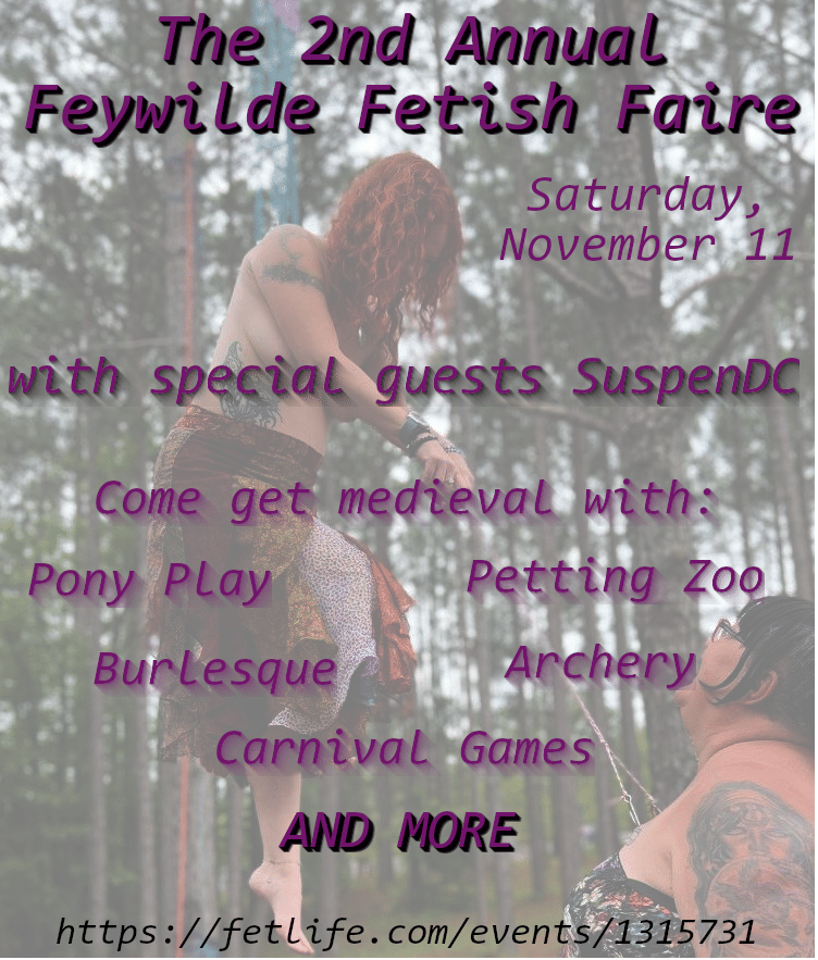 2023/11/11 – 2nd Annual Feywilde Renaissance Faire